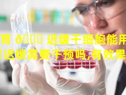 发育 🐒 迟缓干细胞能用吗（发育迟缓需要干预吗,有效果吗）